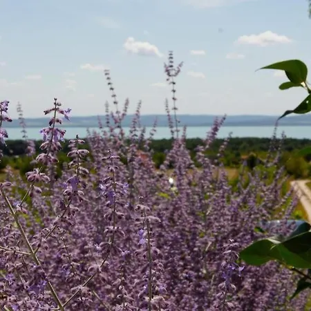 בית הארחה Fuerjes Panorama