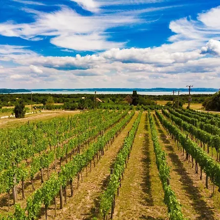 Fürjes Panoráma Stúdió 3*